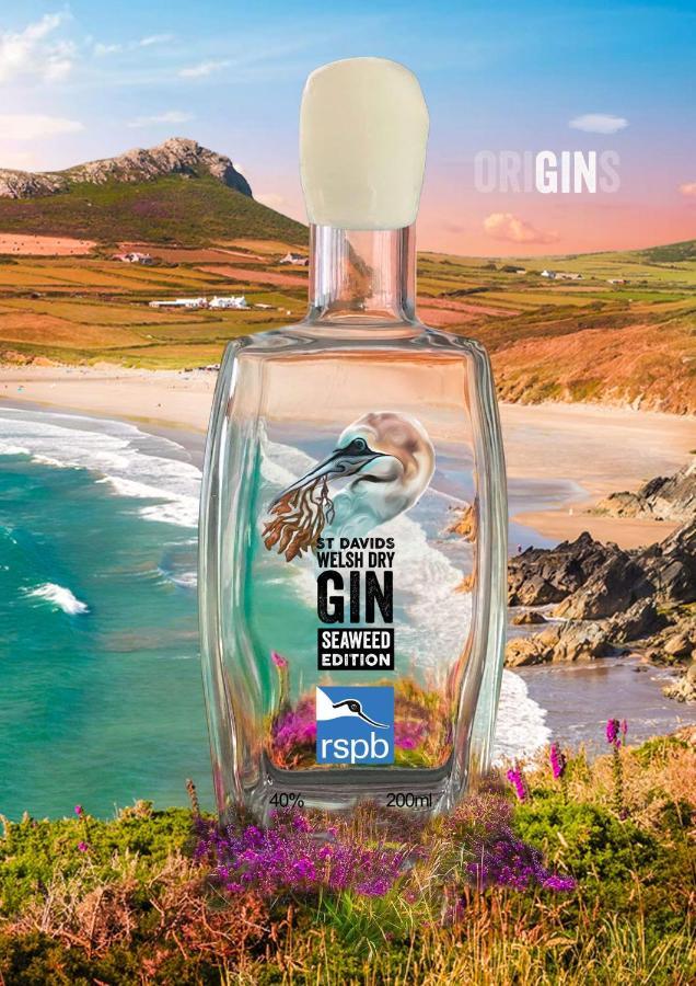 Gin & Kitchen - The Cathedral Bed and breakfast